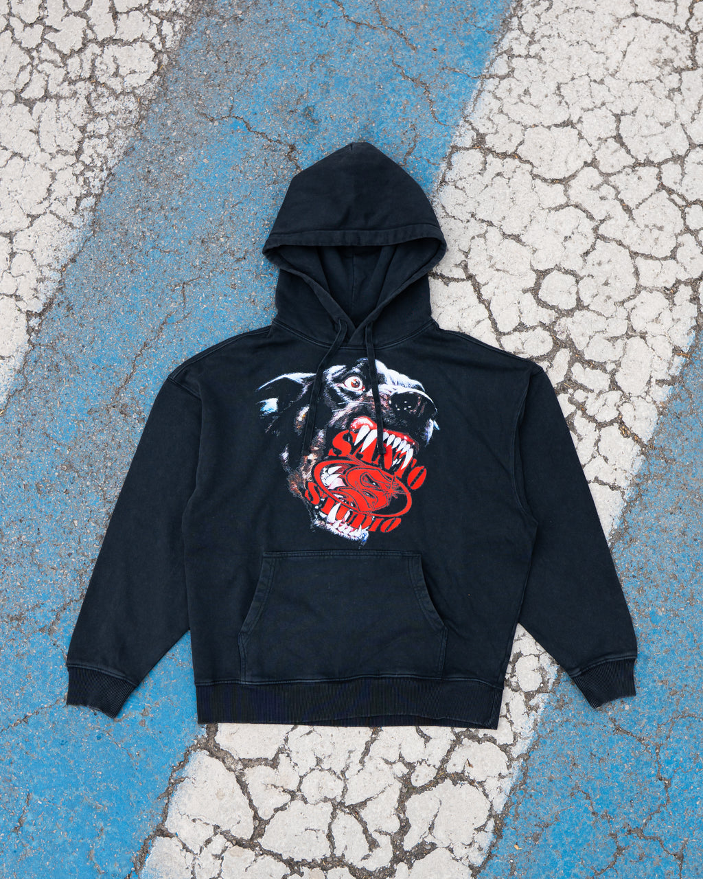 PITBULL HOODIE